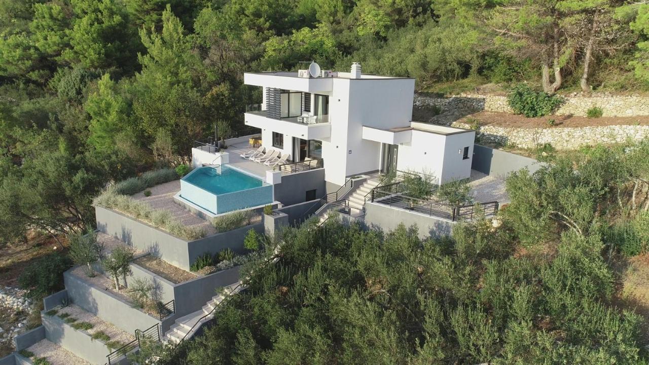 זיווגוסצה Villa Leona A Luxury Villa Near Makarska, Heated Pool מראה חיצוני תמונה